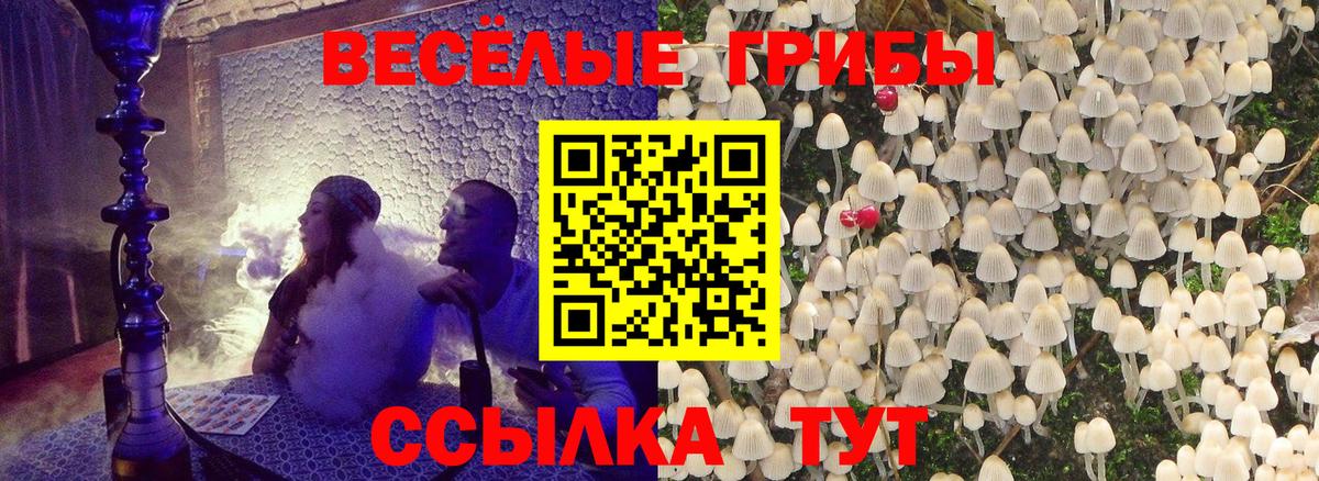 Галлюциногенные грибы Magic Shrooms Симферополь