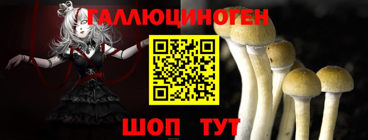 Галлюциногенные грибы прущие грибы  Вход с VPN  Симферополь 